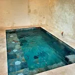 Villa Le Jardin Secret-piscine Balneo Couverte Chauffee Cognac