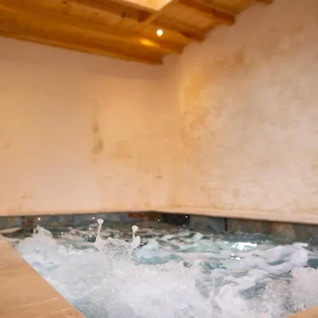 Le Jardin Secret-piscine Balnéo Couverte Chauffée Villa